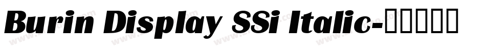 Burin Display SSi Italic字体转换